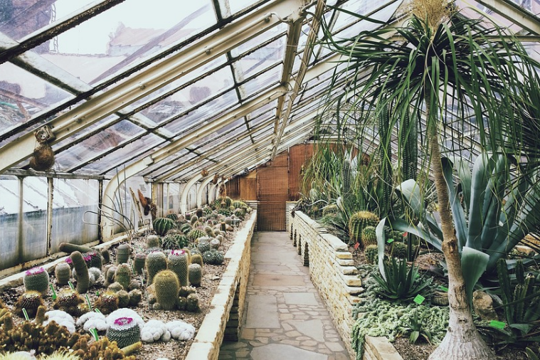 Thu Aug 22 2019 17_55_48 谁说“大棚房”都是违建?农用地上的房屋也可能是合法的!