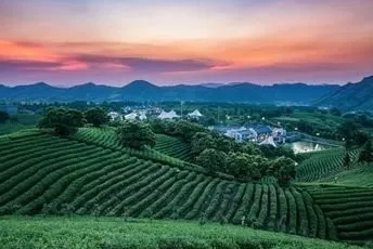 自然资源部办公厅关于做好疫情防控建设项目用地保障工作的通知