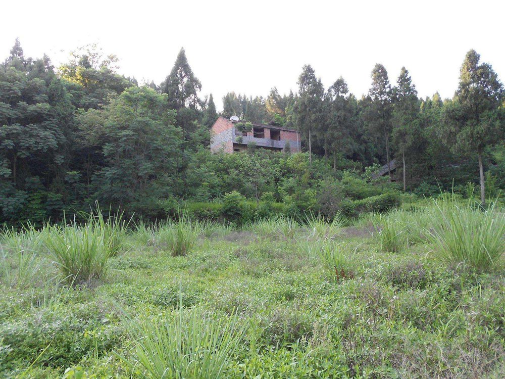 %title插图%num %title插图%num