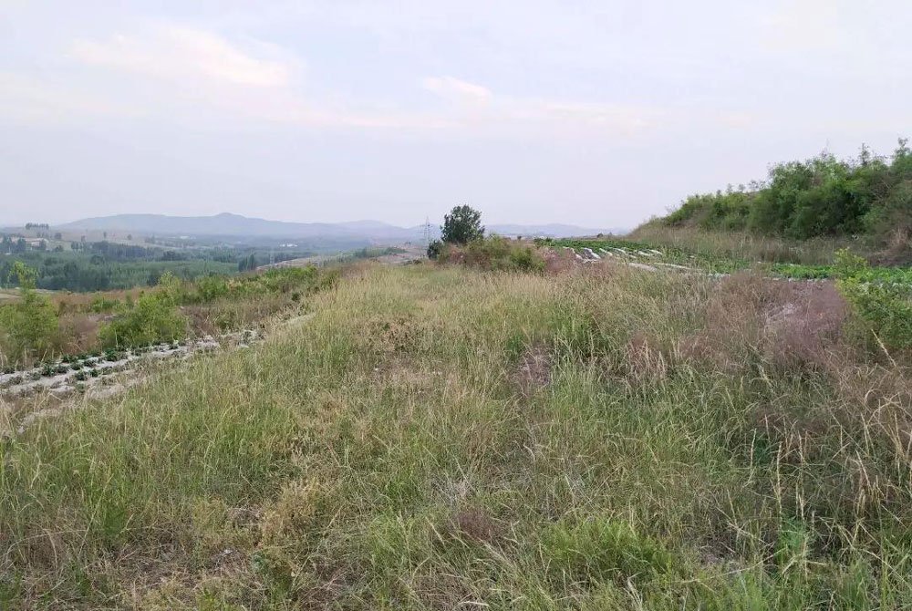 %title插图%num %title插图%num