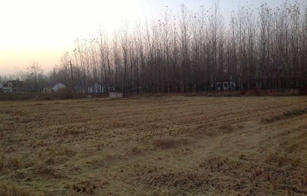 %title插图%num %title插图%num