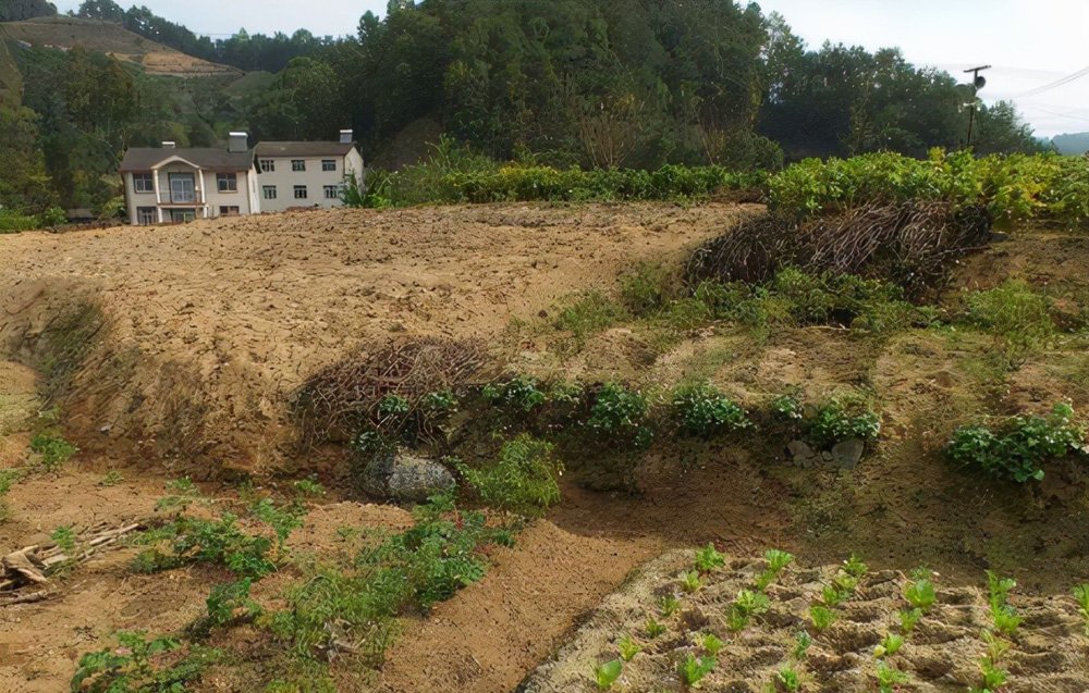 %title插图%num %title插图%num