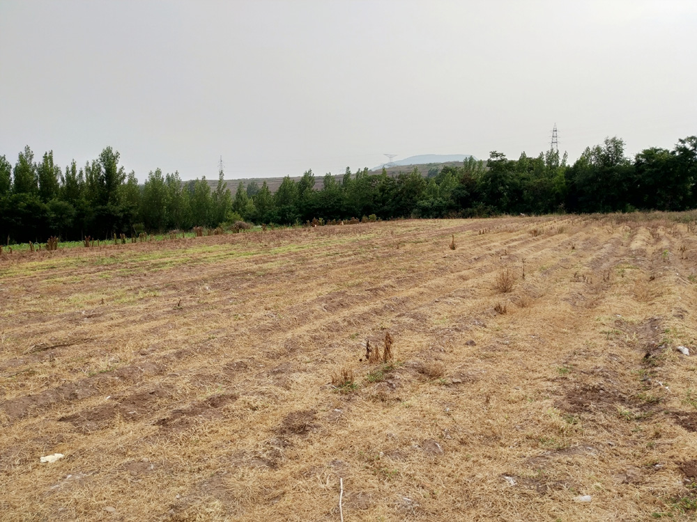 %title插图%num %title插图%num