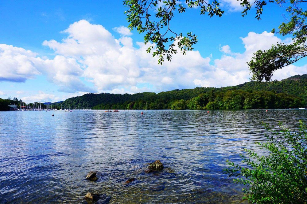 %title插图%num %title插图%num