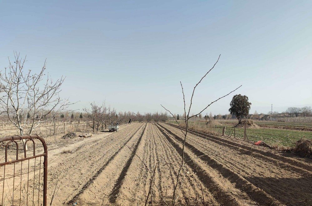 %title插图%num %title插图%num