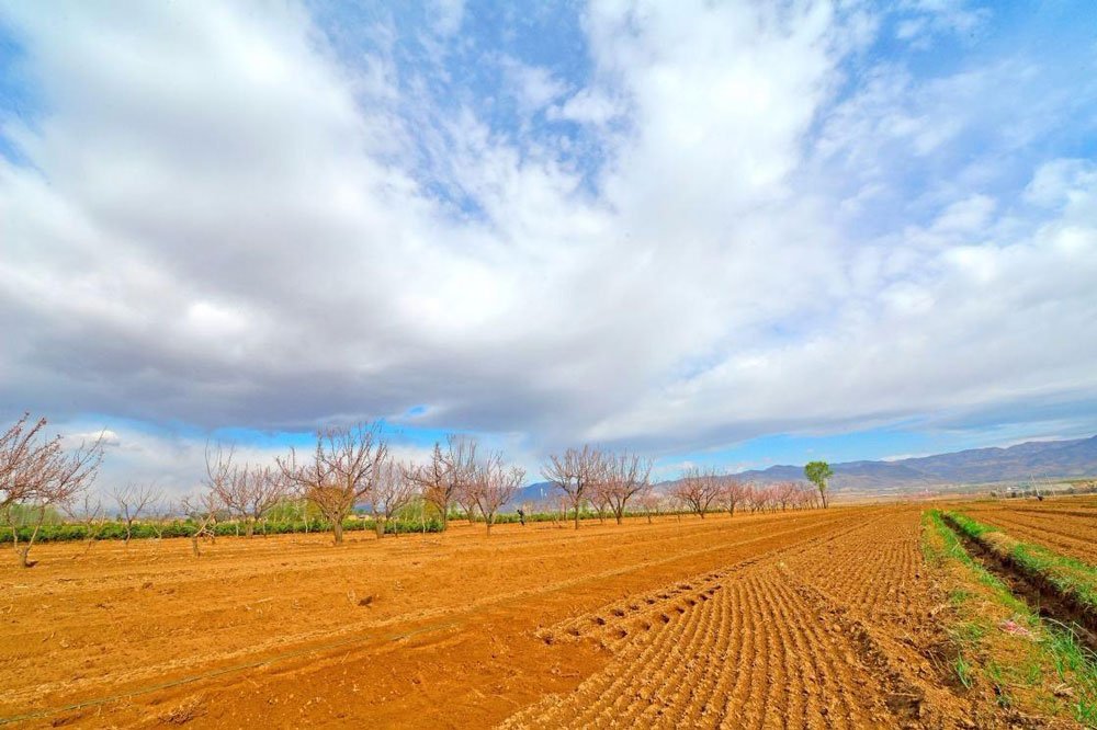 %title插图%num %title插图%num