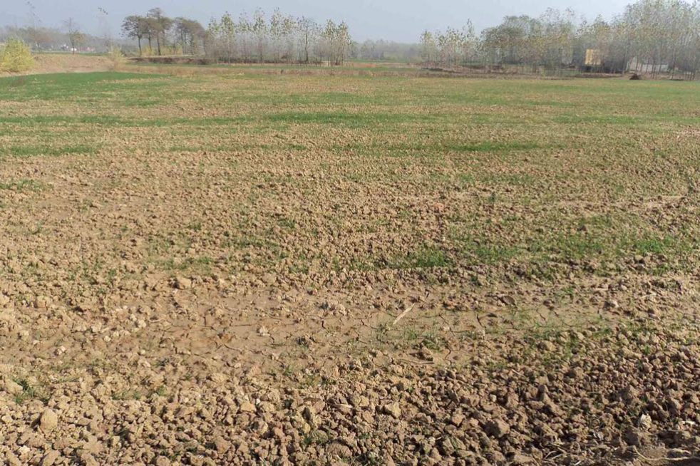 1687160862-b622ca6b7b64cc42c3c8c2801f7ffd4f