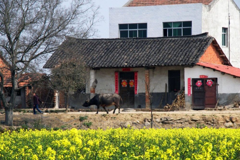 1687169990-c0479e6bc7e5eb6a8b5df524695a1898