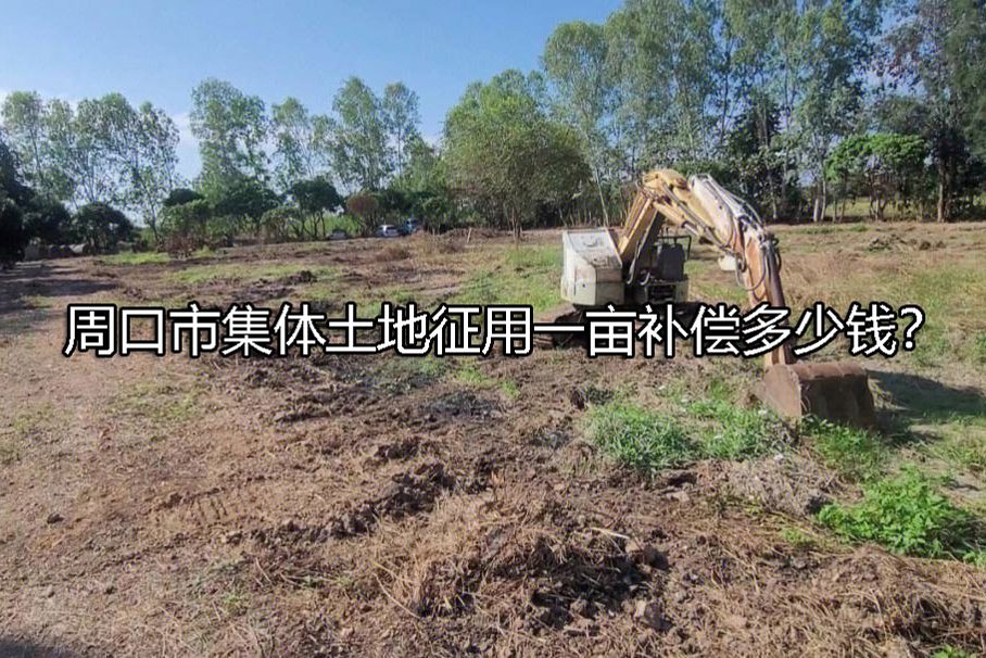 1689149931-0e9677d4c10940bdf6b666541d5acad4