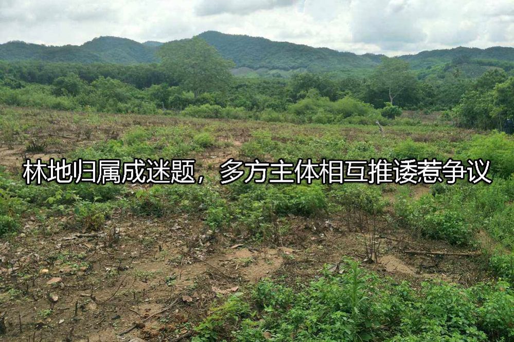 1689571863-f7c85e3a9080cb3aa9ebb28e9bcb79be