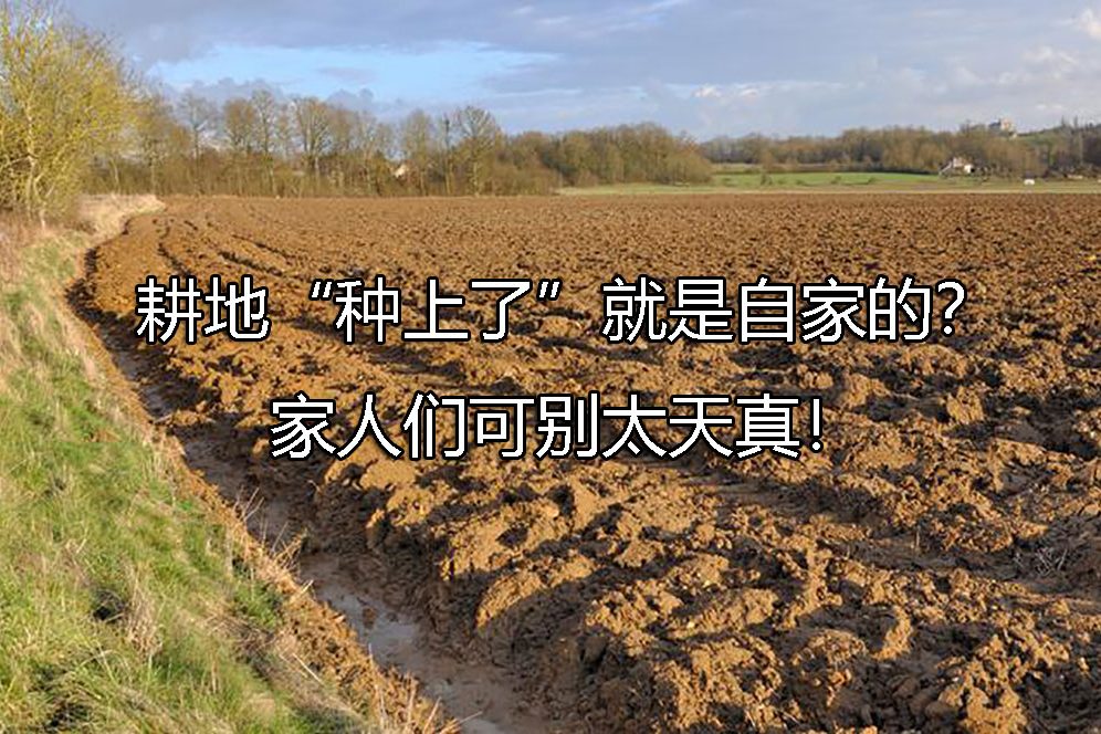 1689745414-c057c251134d71f139d530b465baabe4