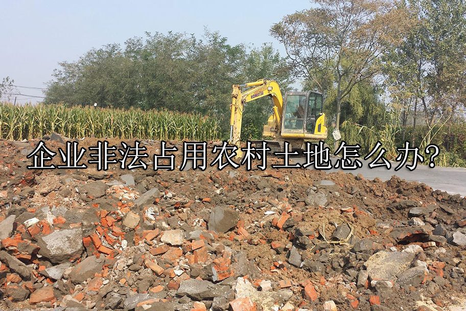 1690439392-499df38f81143d23a12fb28d47858404