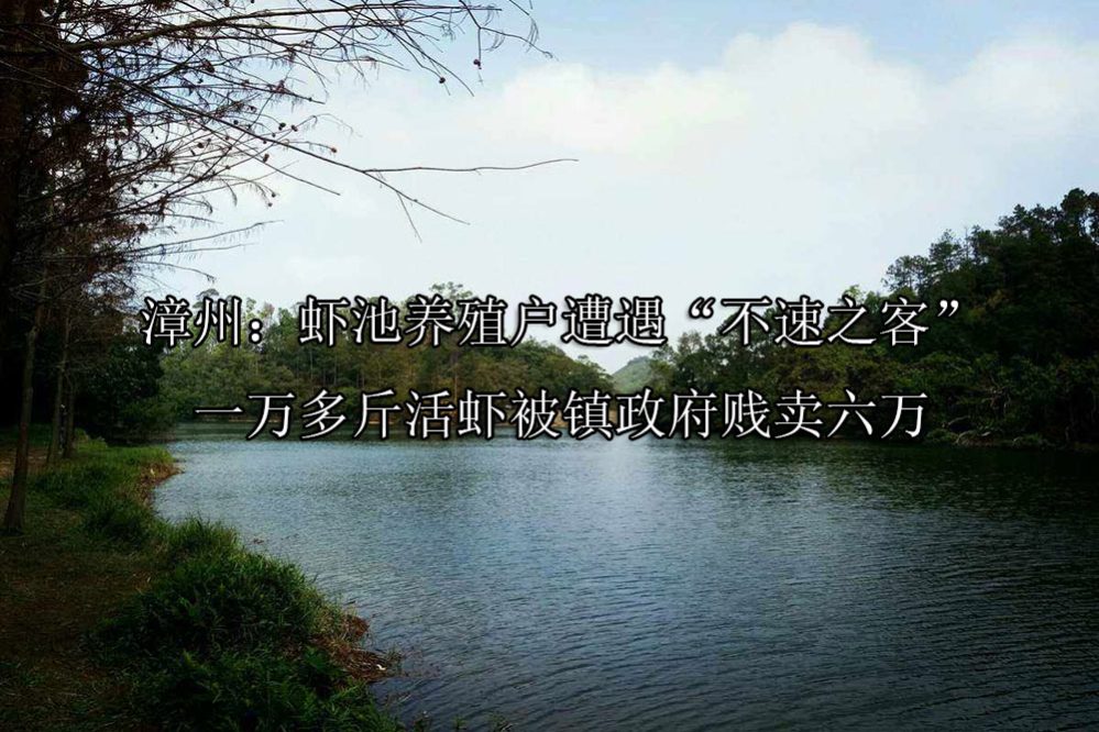 1691138597-60afa6a5805042693f791eabd8ffd73e