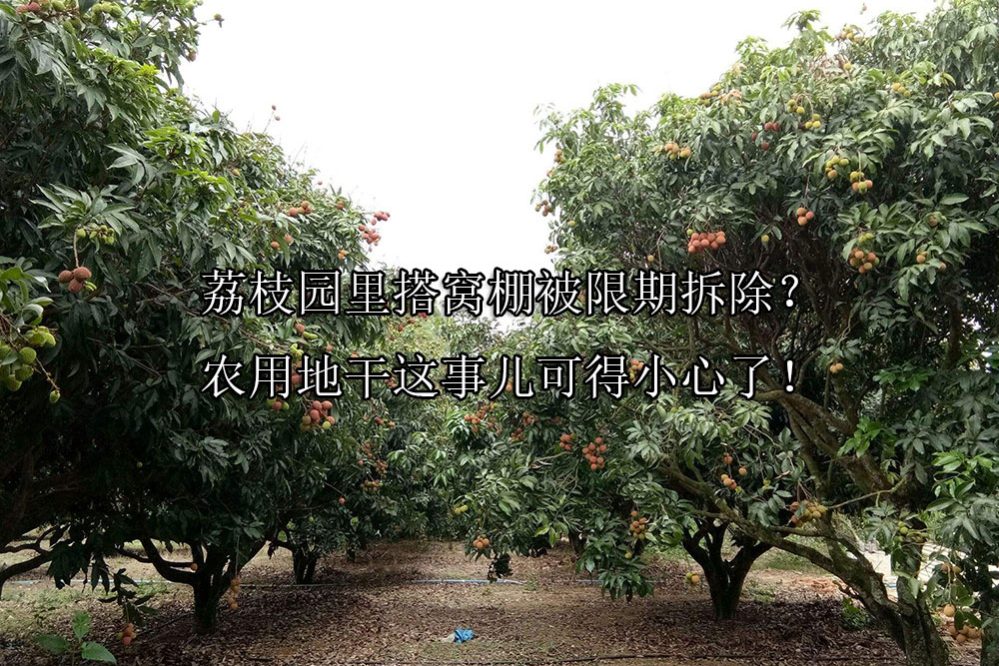 1691634246-715c28d626b4d16a3ffa190101354408