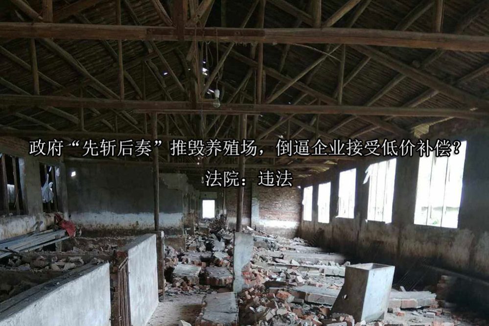 1691635382-d5c49f97b9e8aa1e25b15b1c4e723c70