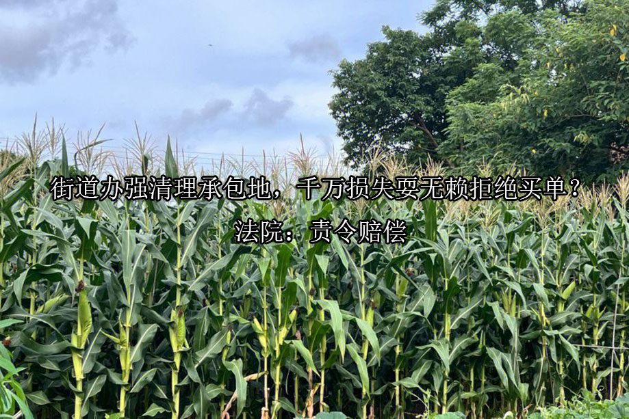 1691659388-a8b8f6f3be61eb0844ef77c98f8d8226