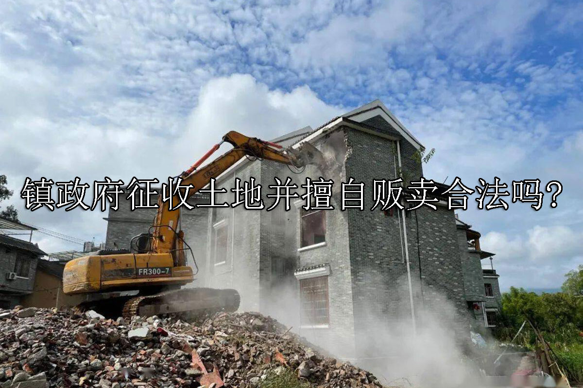 1697012091-镇政府征收土地