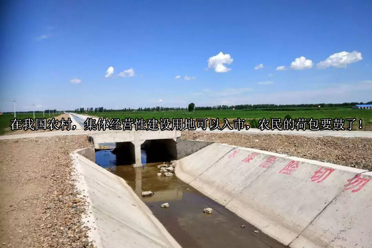 1705295786-在我国农村,集体经营性建设用地可以入市