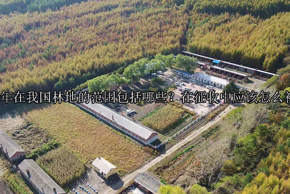 1714014791-2024年在我国林地的范围包括哪些?在征收中应该怎么补偿?