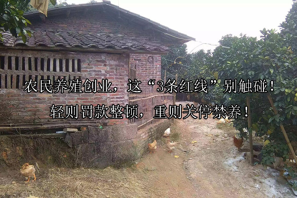 1718344478-农民养殖创业,这“3条红线”别触碰!轻则罚款整顿,重则关停禁养!