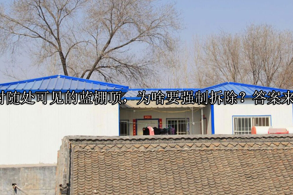 1718763290-农村随处可见的蓝棚顶,为啥要强制拆除?答案来了!