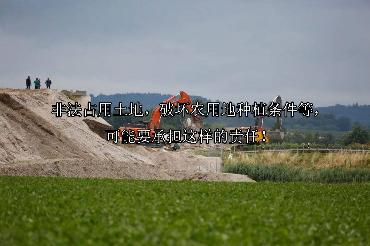 1721185702-非法占用土地,破坏农用地种植条件等,可能要承担这样的责任!
