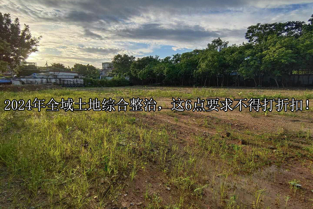 1723706575-006bddcb3aaba2d318aa9b5e7d5ad085