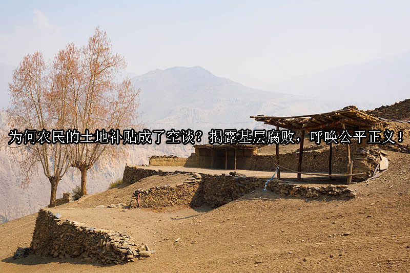 1724984780-为何农民的土地补贴成了空谈?揭露基层腐败,呼唤公平正义!