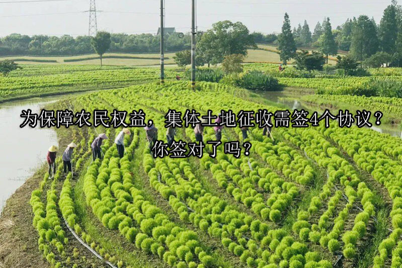 1725329089-为保障农民权益,集体土地征收需签4个协议?你签对了吗?