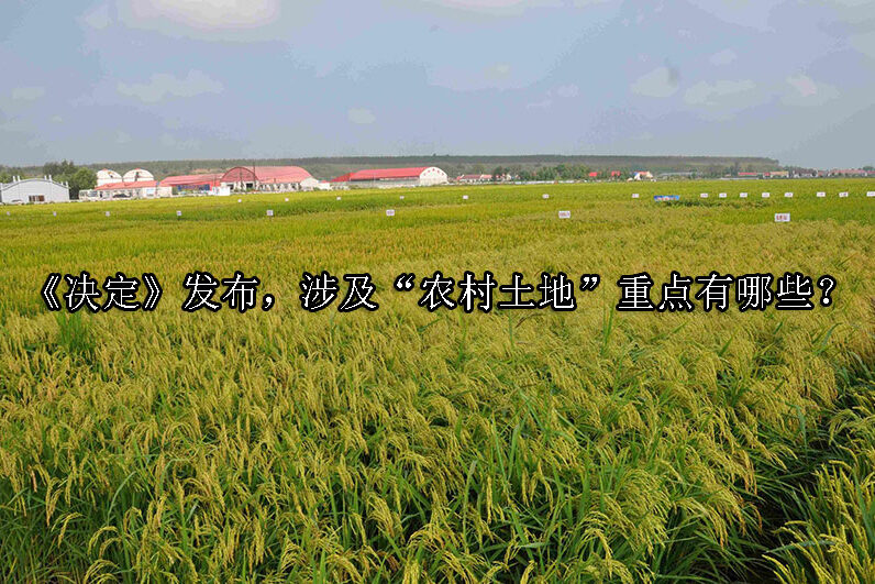 1729566375-《决定》发布,涉及“农村土地”重点有这些!