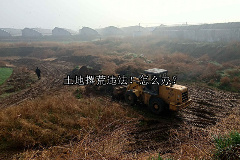 1729650060-注意:土地撂荒违法!