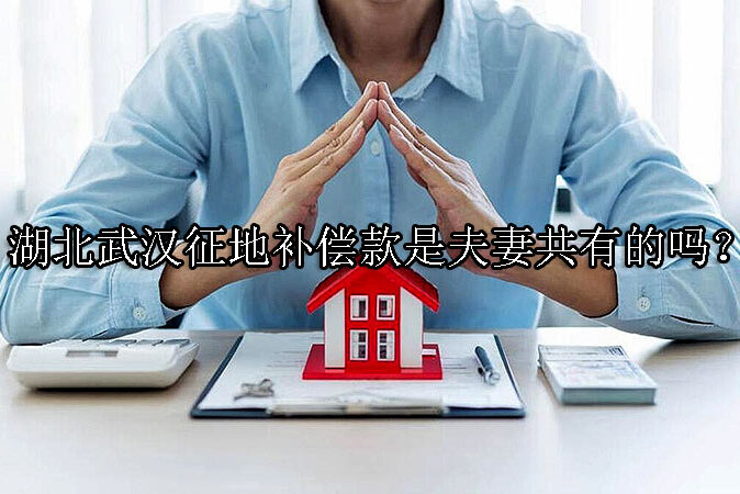 1730861095-征地补偿款是夫妻共有的吗?