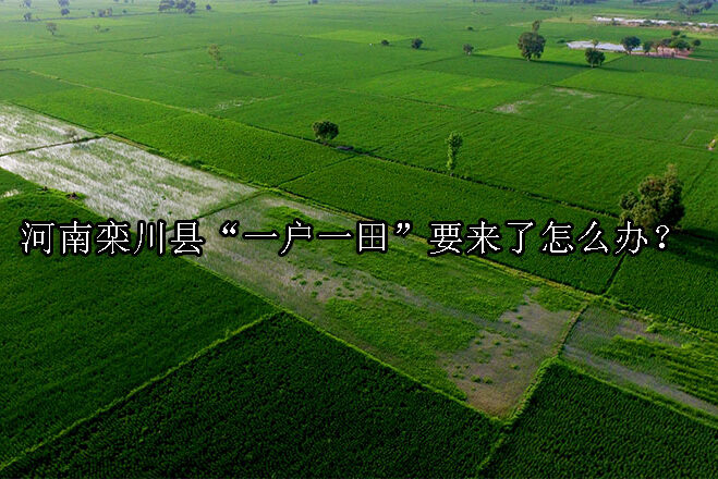 1731638140-“一户一田”要来了?每亩地补偿9万元