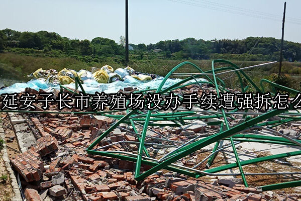 1731897330-养殖场没办手续遭强拆怎么办?