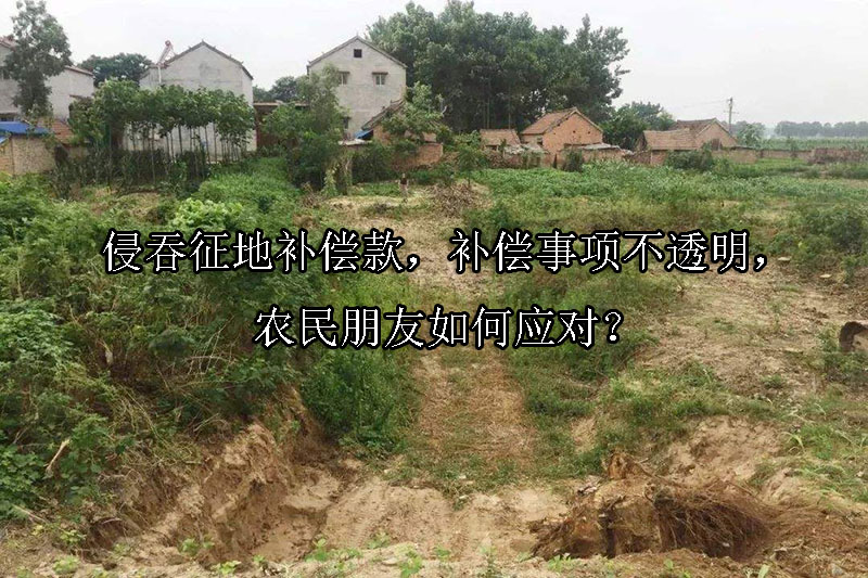 1733884100-侵吞征地补偿款,补偿事项不透明,农民朋友如何应对?