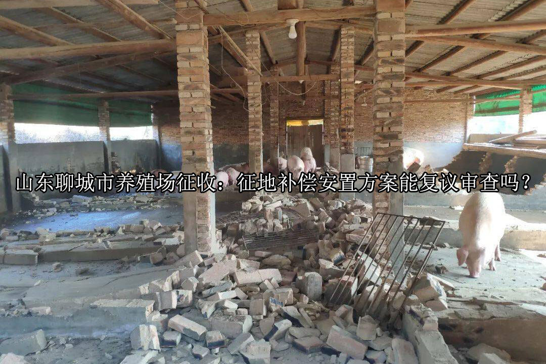 1734512009-c073996fc043e8083cd84197f10832b0