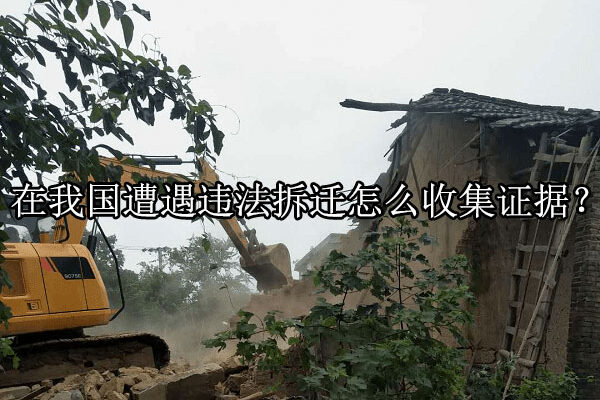 1735113934-123988eb18925ebe035bbb14863e28ca