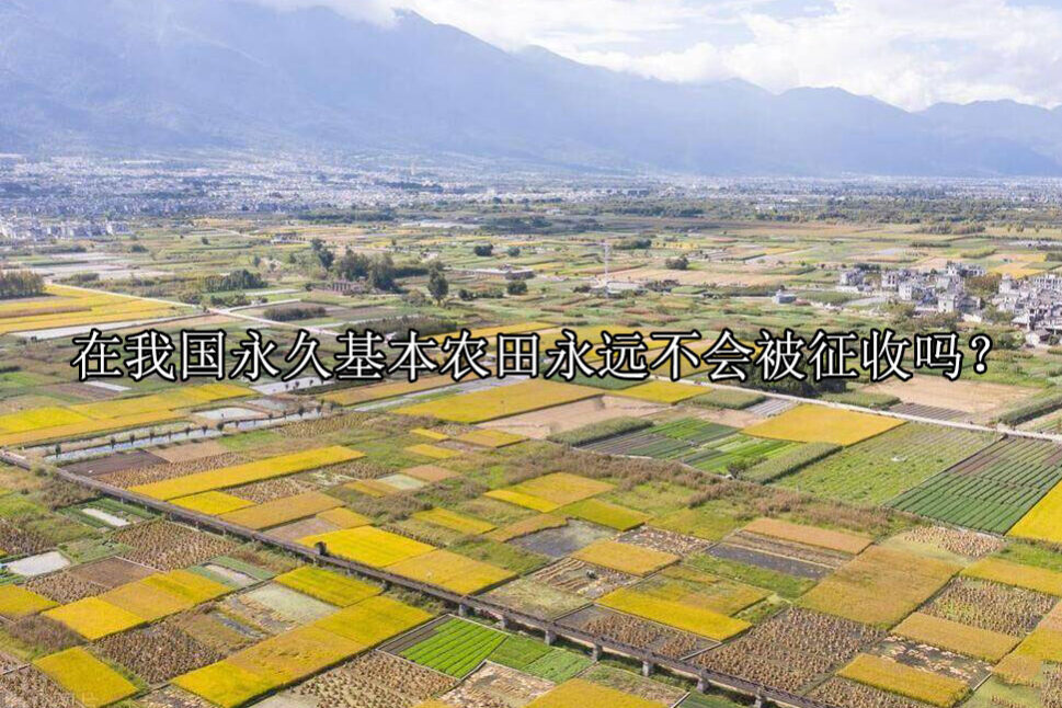 1735116008-84107bfa29a12953cb820910e91b64a9