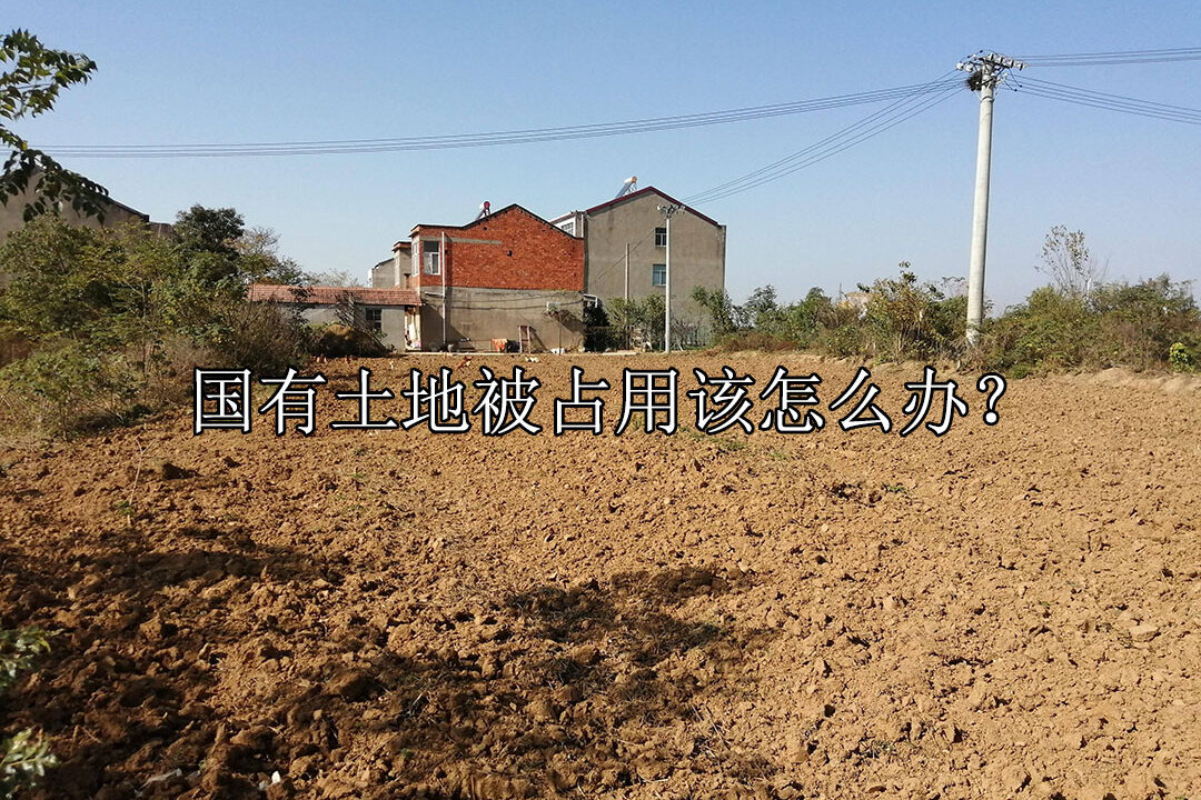 1740038241-3e02843f97a5ee5a51b08a70d34154d9