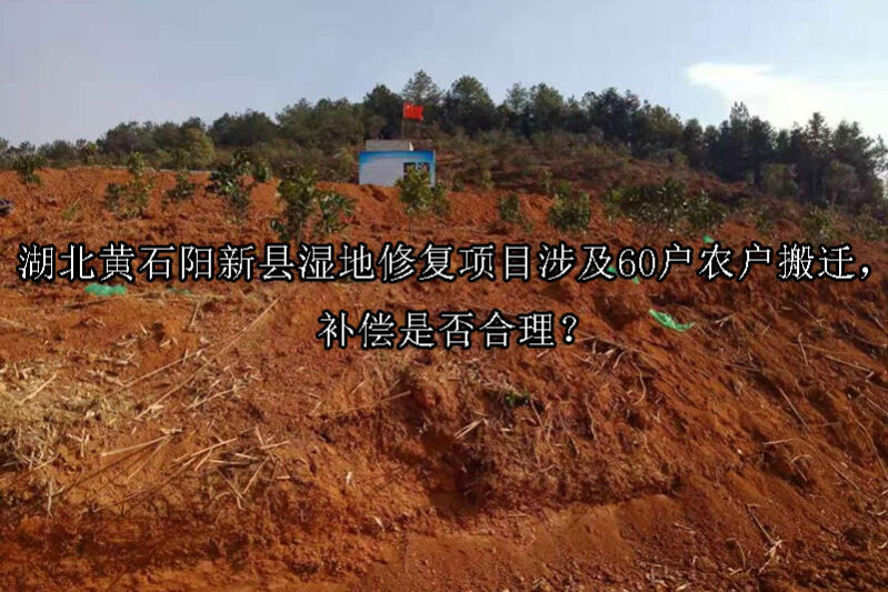 1742437268-湖北黄石阳新县湿地修复项目涉及60户农户搬迁,补偿是否合理?