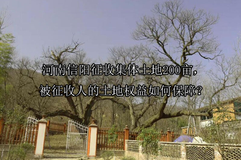1742868705-河南信阳征收集体土地200亩,被征收人的土地权益如何保障?