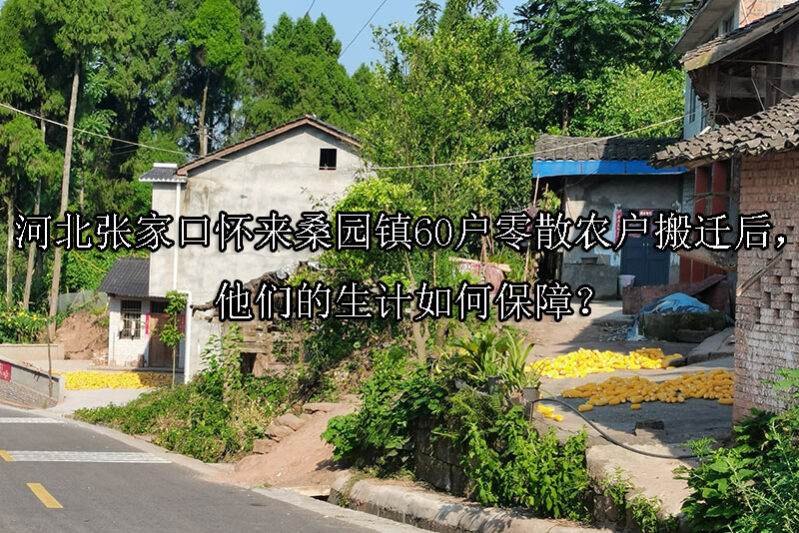 1743388588-河北张家口怀来桑园镇60户零散农户搬迁后,他们的生计如何保障?