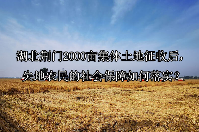 1743561747-湖北荆门2000亩集体土地征收后,失地农民的社会保障如何落实?