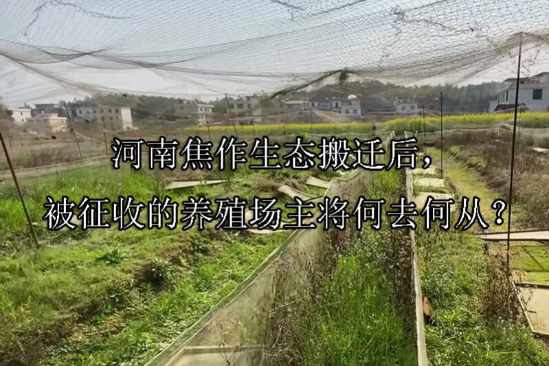 1743561779-河南焦作生态搬迁后,被征收的养殖场主将何去何从?