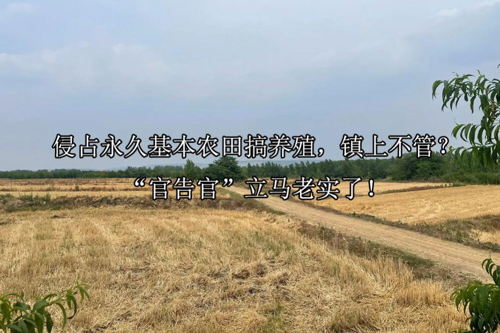 1743646209-4e921538adc71e75f168c51ec75b54b7