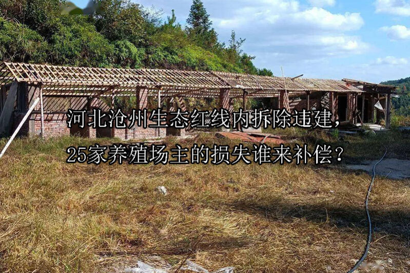 1744078806-河北沧州生态红线内拆除违建,25家养殖场主的损失谁来补偿?