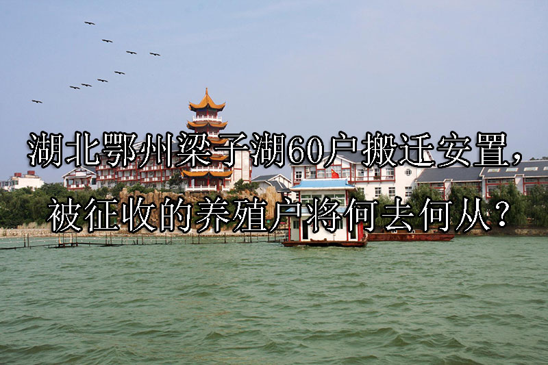 1744252859-湖北鄂州梁子湖60户搬迁安置,被征收的养殖户将何去何从?