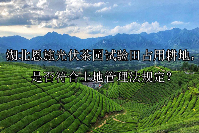 1744342020-湖北恩施光伏茶园试验田占用耕地,是否符合土地管理法规定?
