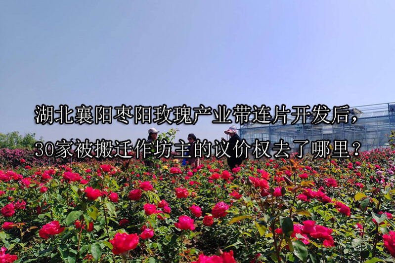 1744598760-湖北襄阳枣阳玫瑰产业带连片开发后,30家被搬迁作坊主的议价权去了哪里?