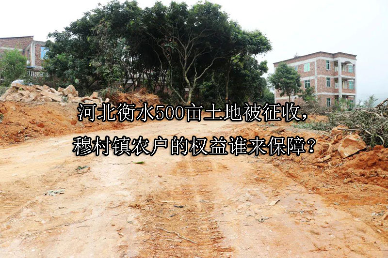 1744598774-河北衡水500亩土地被征收,穆村镇农户的权益谁来保障?